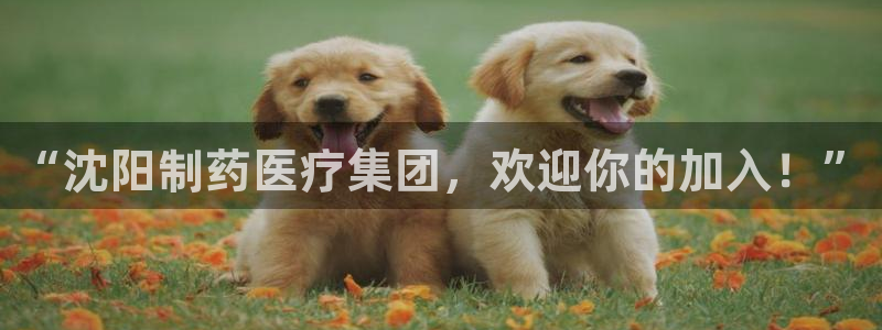 恒行招商老大诚挚 6ll5l