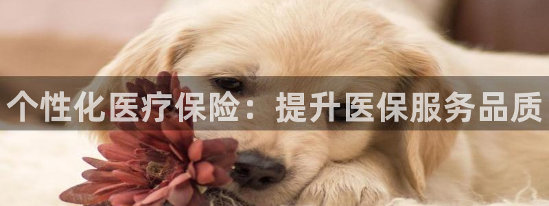 恒行娱乐陈74OOO5