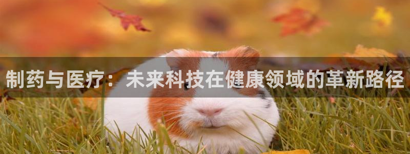 恒行开户全2O5o5O