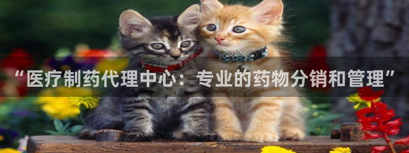 恒行娱乐掌74ooo5呀蚕