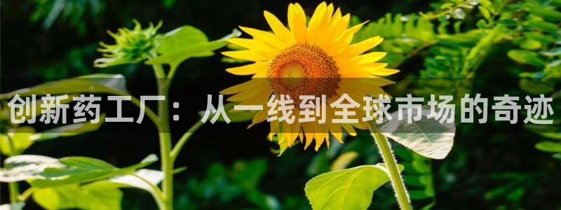 恒行娱乐周74OOO5