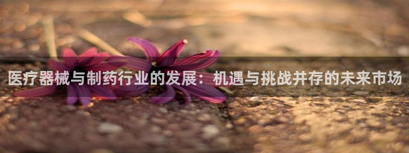 恒行娱乐郑74OOO5