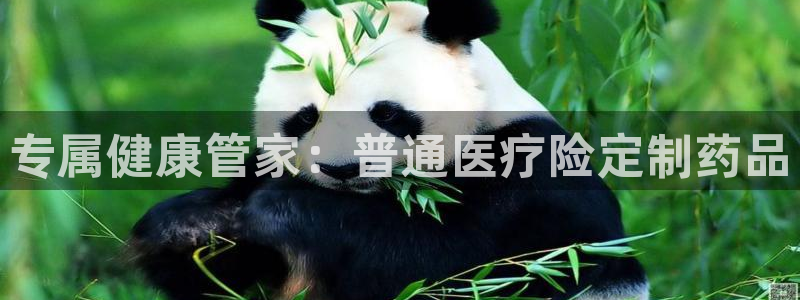 恒行招商老大诚挚 6ll5l