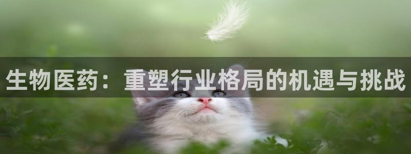 恒行娱乐吴74OOO5