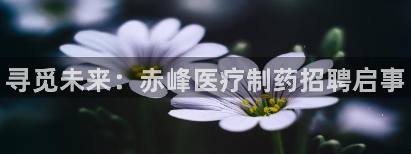 恒行招商老大诚挚 6ll5l