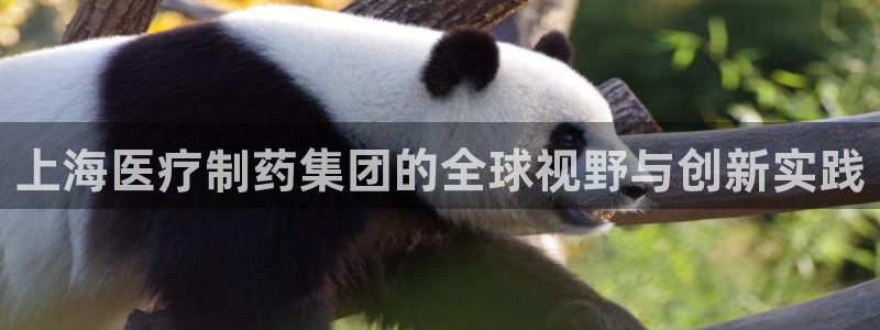 恒行注册招收6ll5l指定