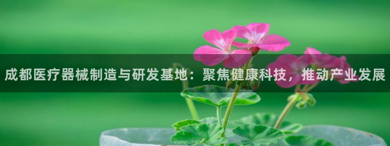 恒行主管首问6ll5l