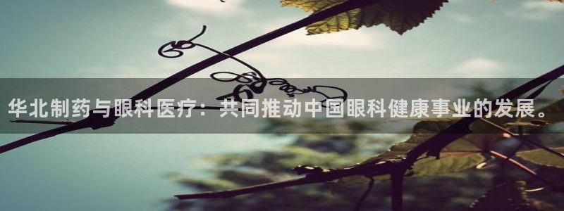 恒行彩票亏5千