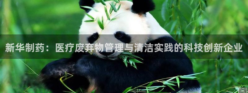 恒行彩票亏5千