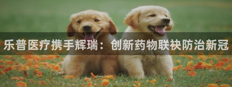 恒行娱乐周74OOO5
